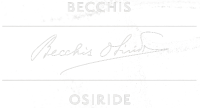 Logo of a partner company named Becchis Osiride